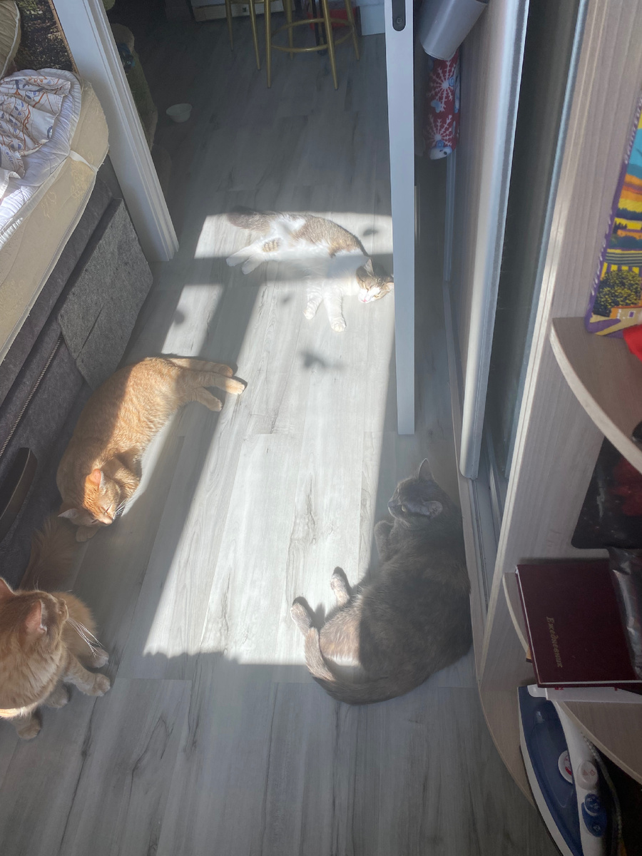 много солнца 🌞🌞🌞