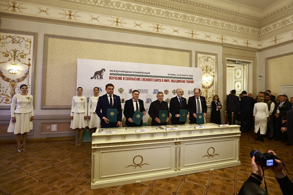 Автор фото: Павел Хацаюк / ИД «Вечерняя Казань»