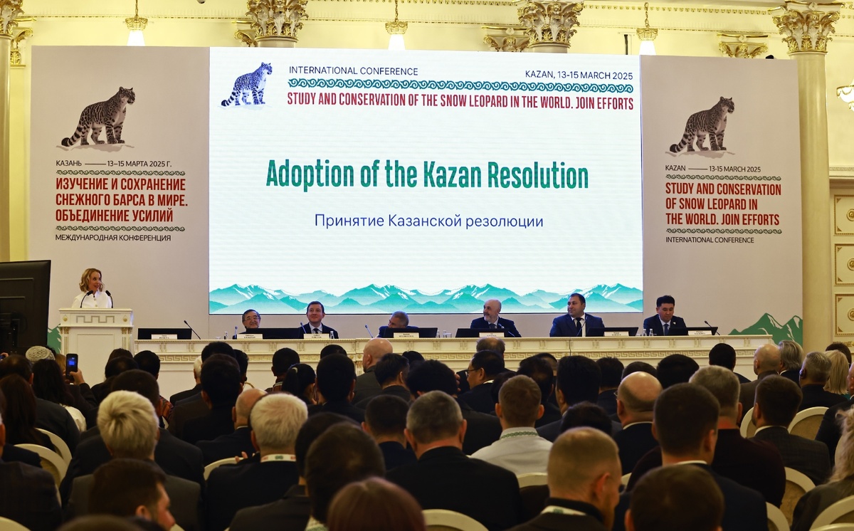 Автор фото: Павел Хацаюк / ИД «Вечерняя Казань»