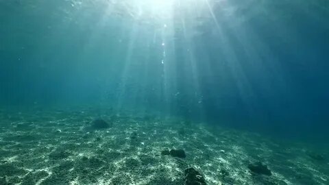 Перед Камнелапой