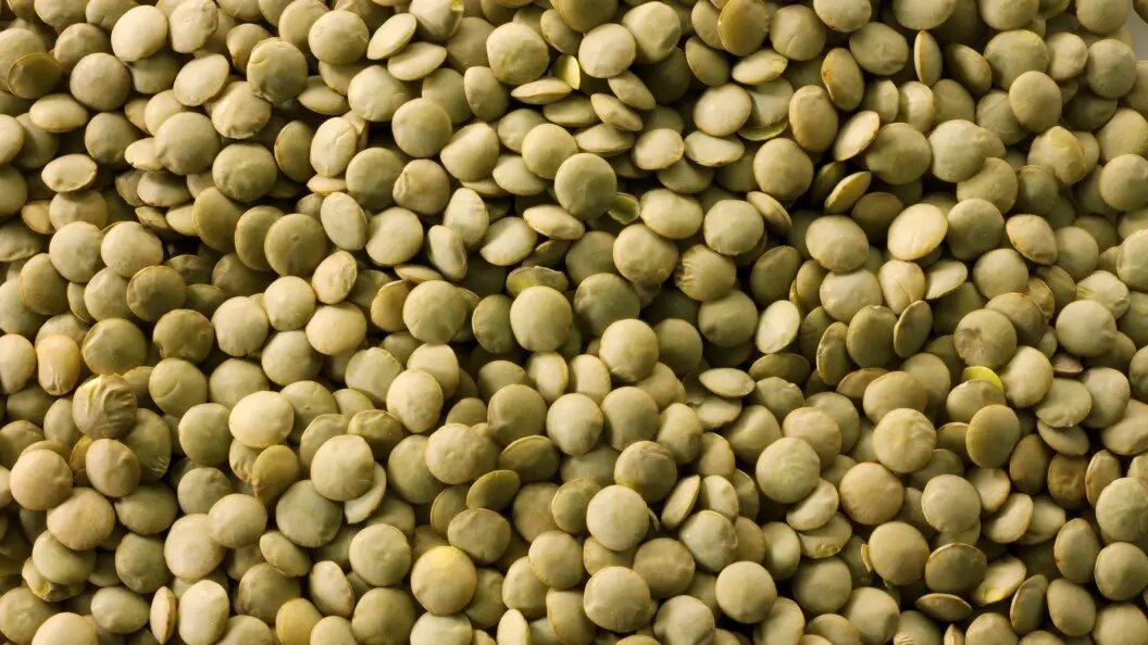    Paul Williams - Funkystock/imageBROKER.com/Globallookpress