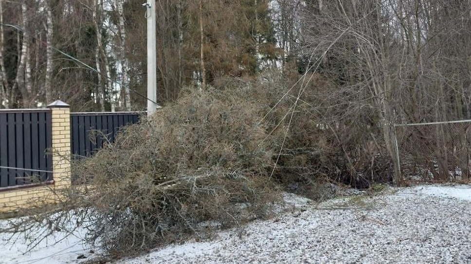 Фото: пресс-служба «Ярэнерго»