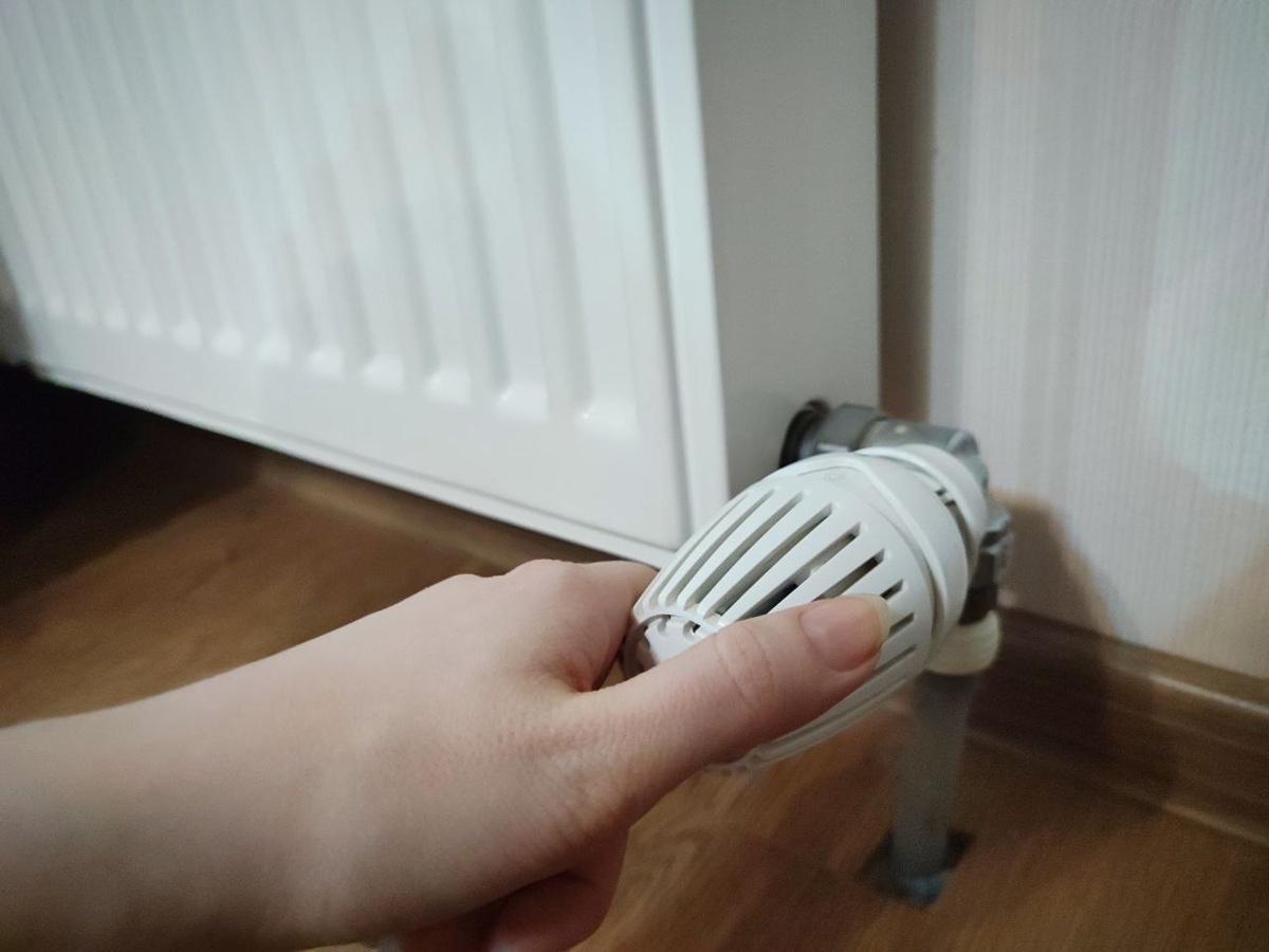 Фото: Утренний Юг