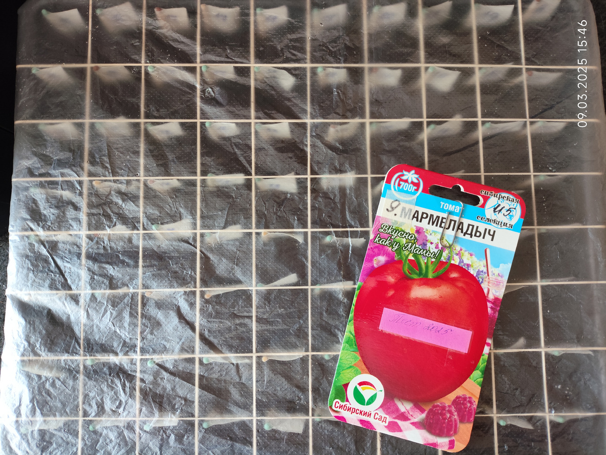 Посевы 9 марта. 20 соров 