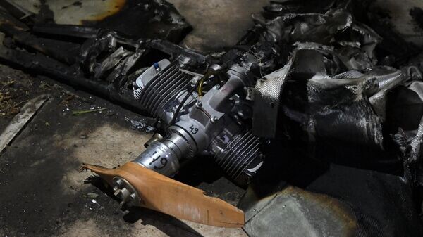    © Sputnik / Евгений Биятов