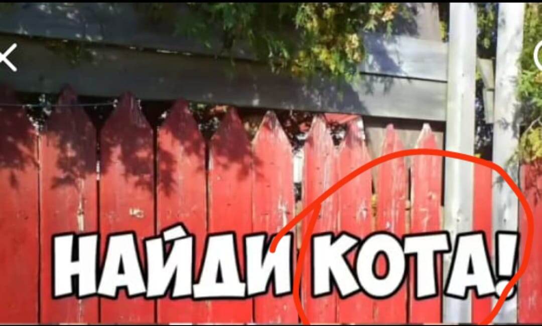 Слово это и есть кот!