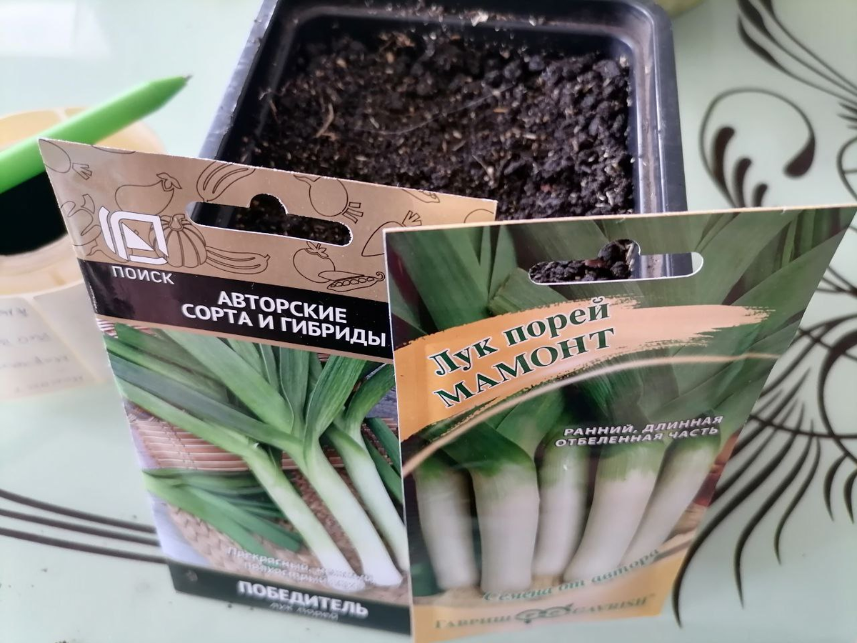 Посев лука-порея, фото автора