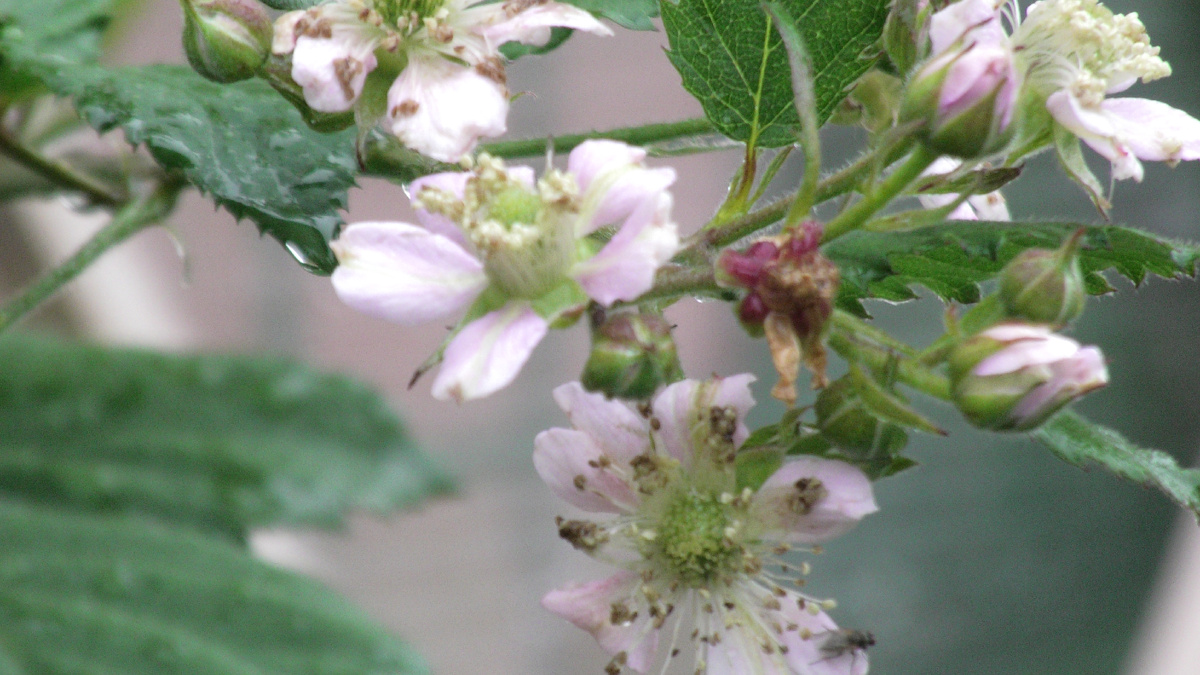 Фото автора канала Дом с кипарисами