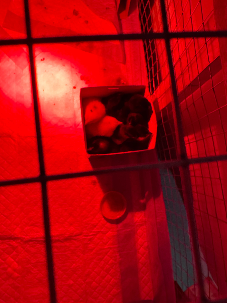 В тесноте да не в обиде. Или «жилье по доступной цене без кредитов»