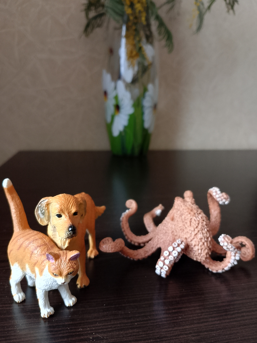 Фото сделано дома. На пыльку не обращайте внимания, это мимоза сухая сыплется) 