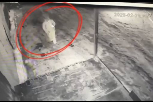    Фото: МВД по НСО