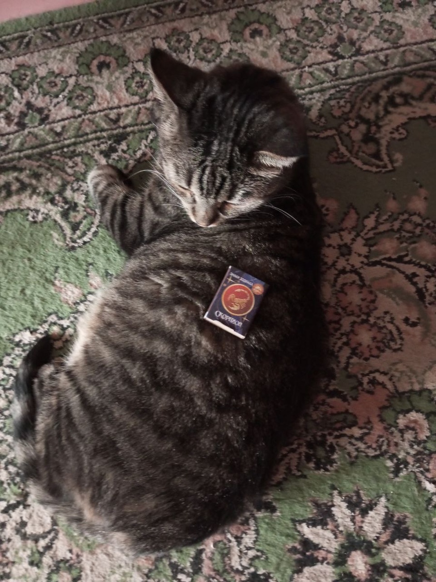 Это мы так масштаб указали))