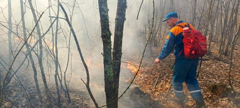 Фото:ТГ Минприроды КК