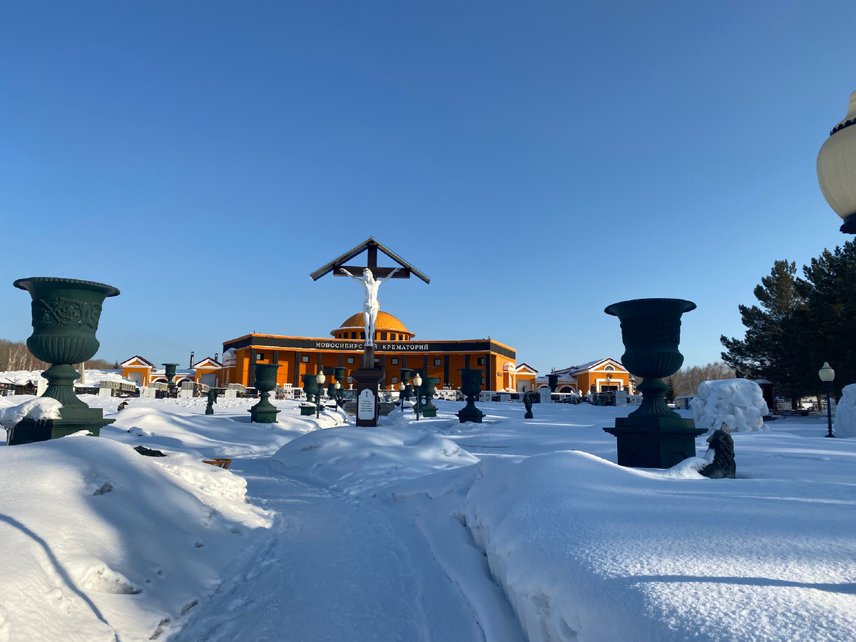 Фото автора.