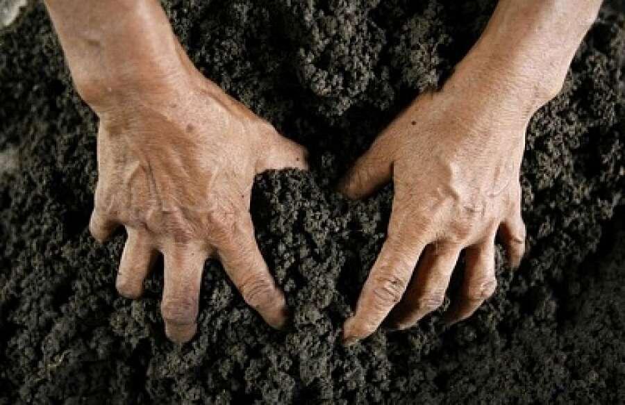 Изображение: chernovik.net