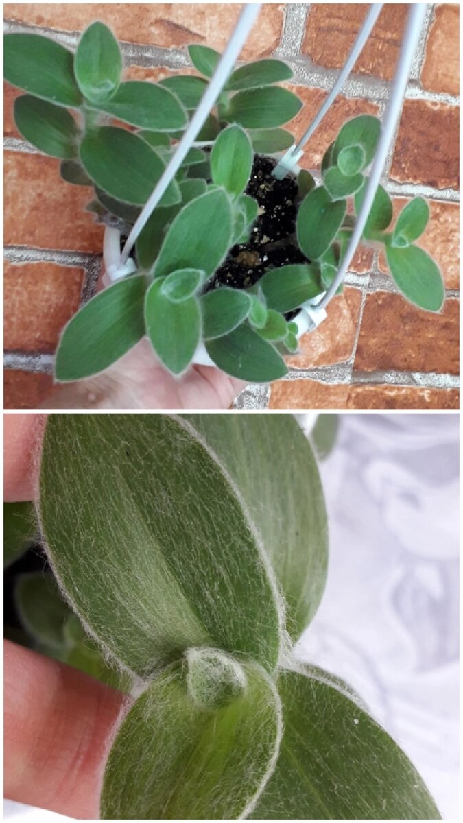 Фото 2024 года.