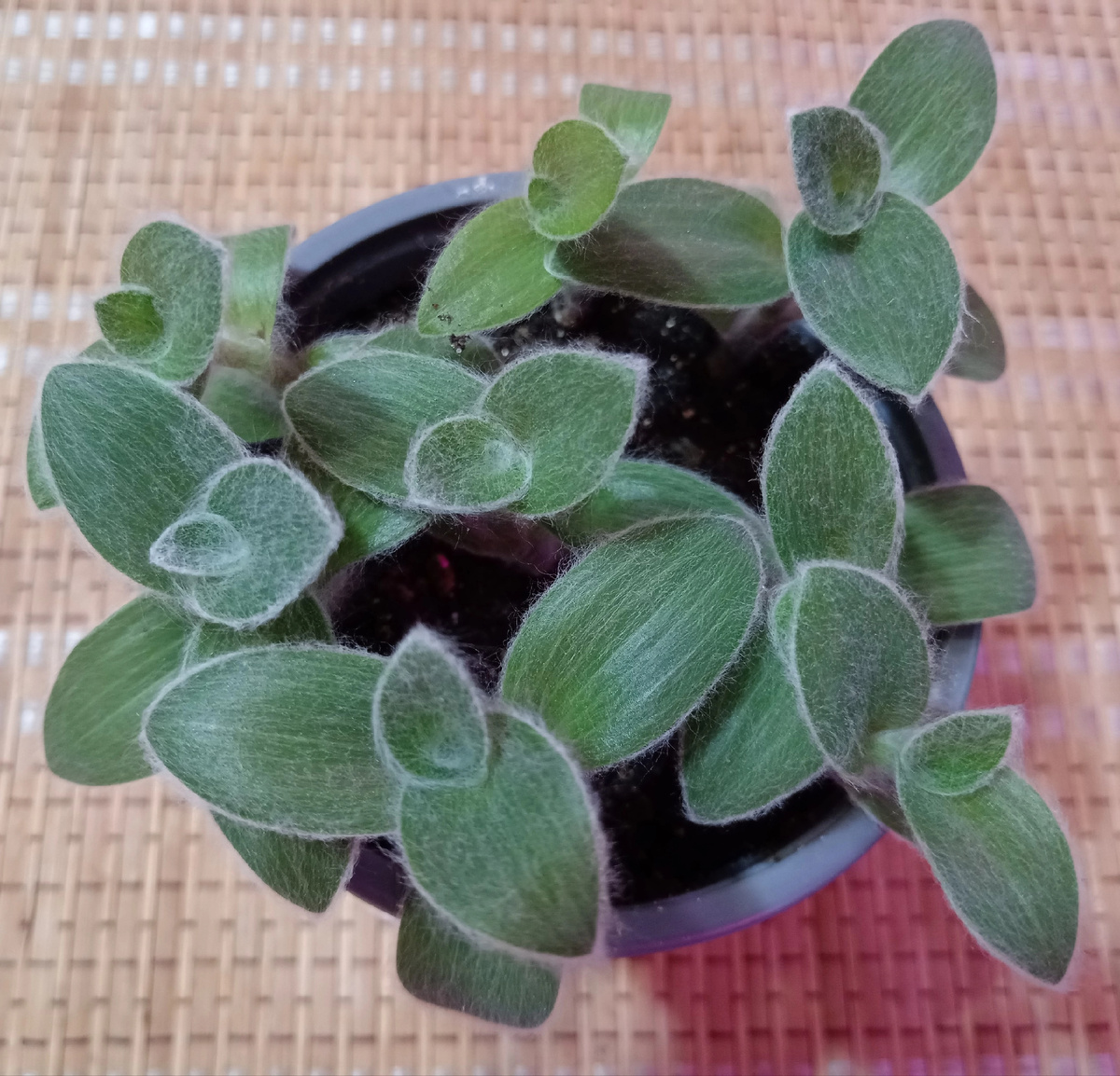 Фото 2024 года