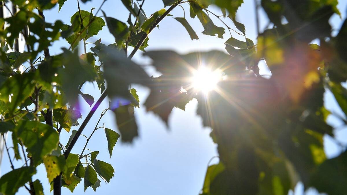    Фото: Сергей Киселев / АГН Москва