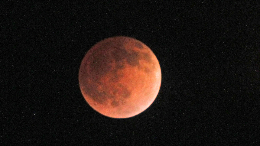    Фото: www.globallookpress.com/Al Grillo