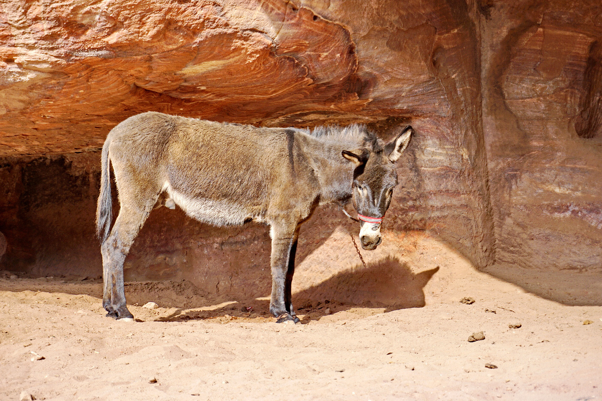 Иордания, Петра