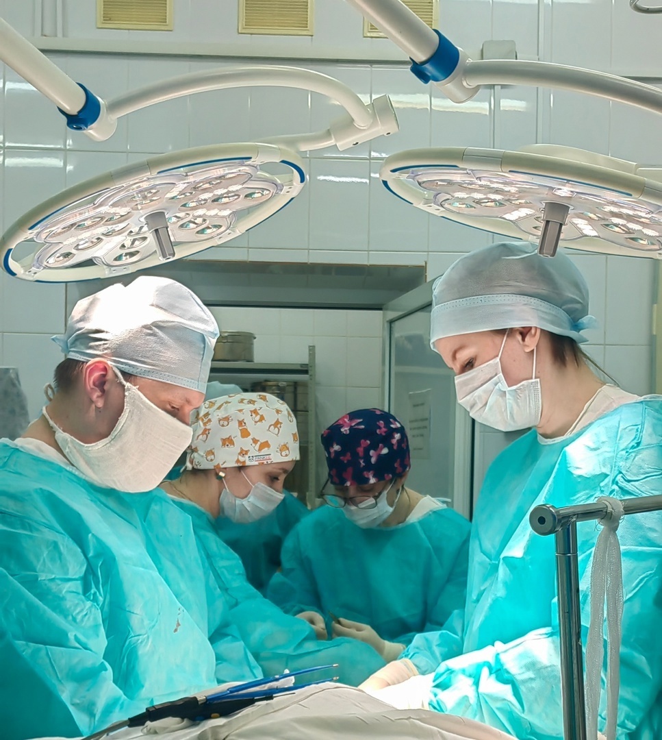    Фото: Минздрав Карелии