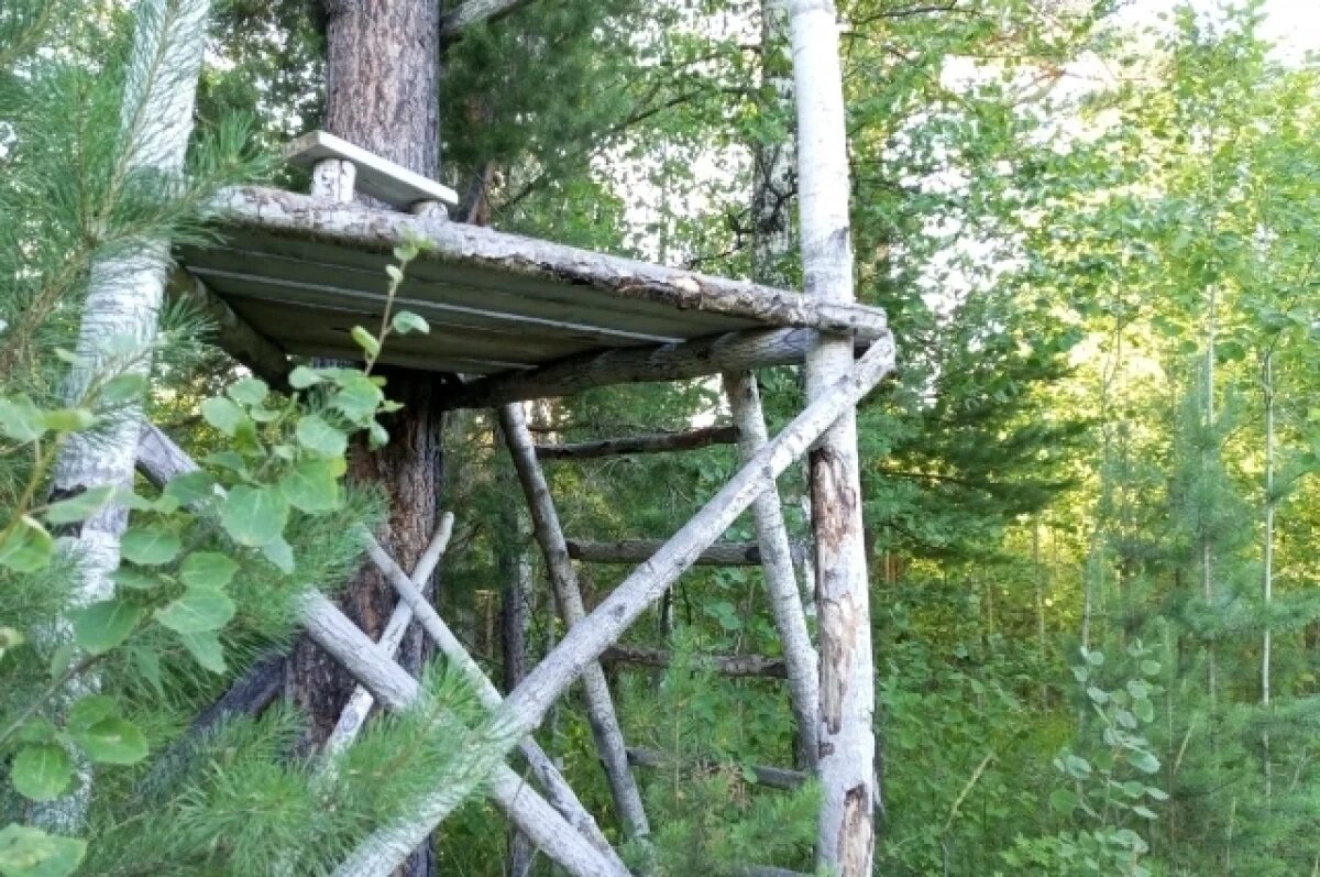    Охота на гусей в Рязанской области весной начнётся 5 и 12 апреля