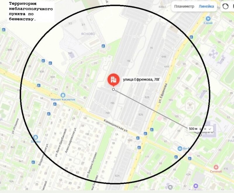    Фото: Агентство ветеринарии Ульяновской области