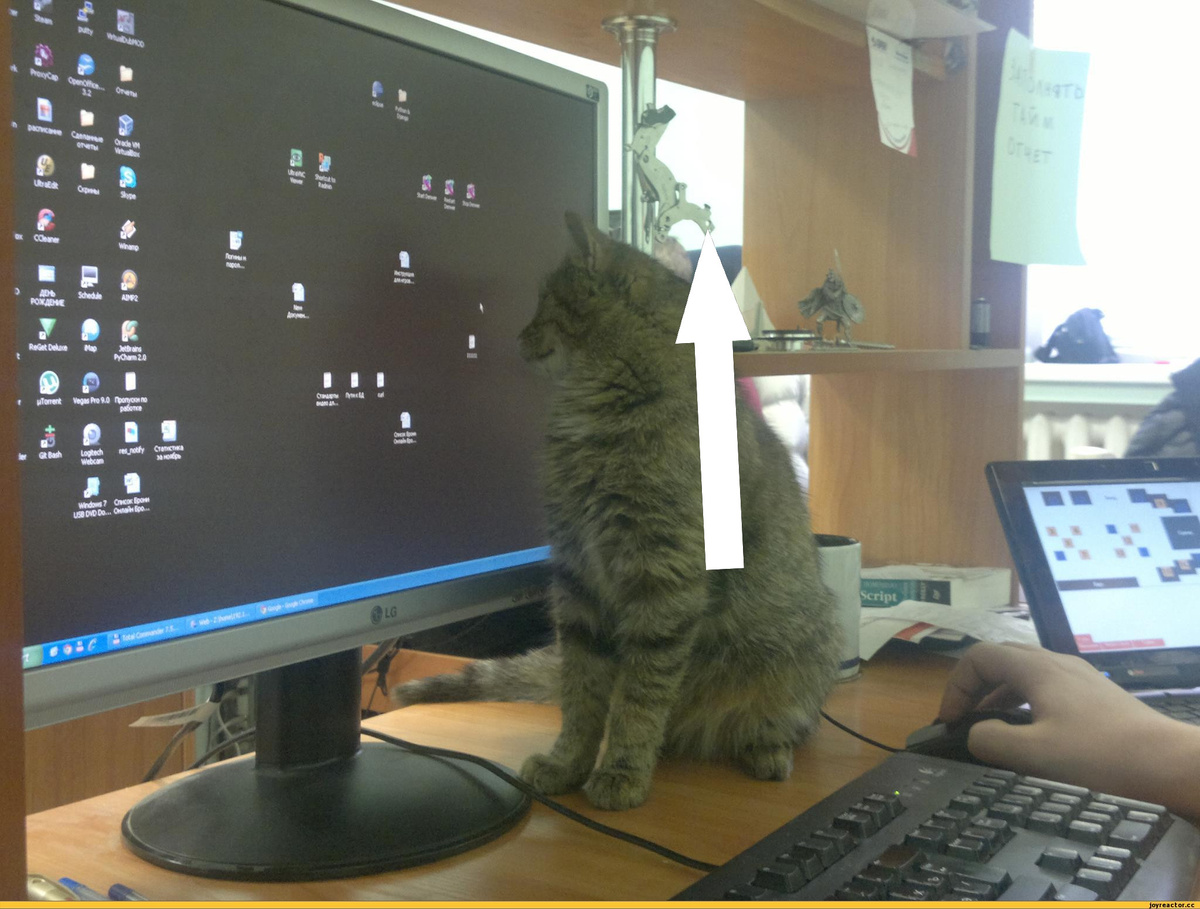    Тонкий юмор для айтишников, который заставит вас смеяться