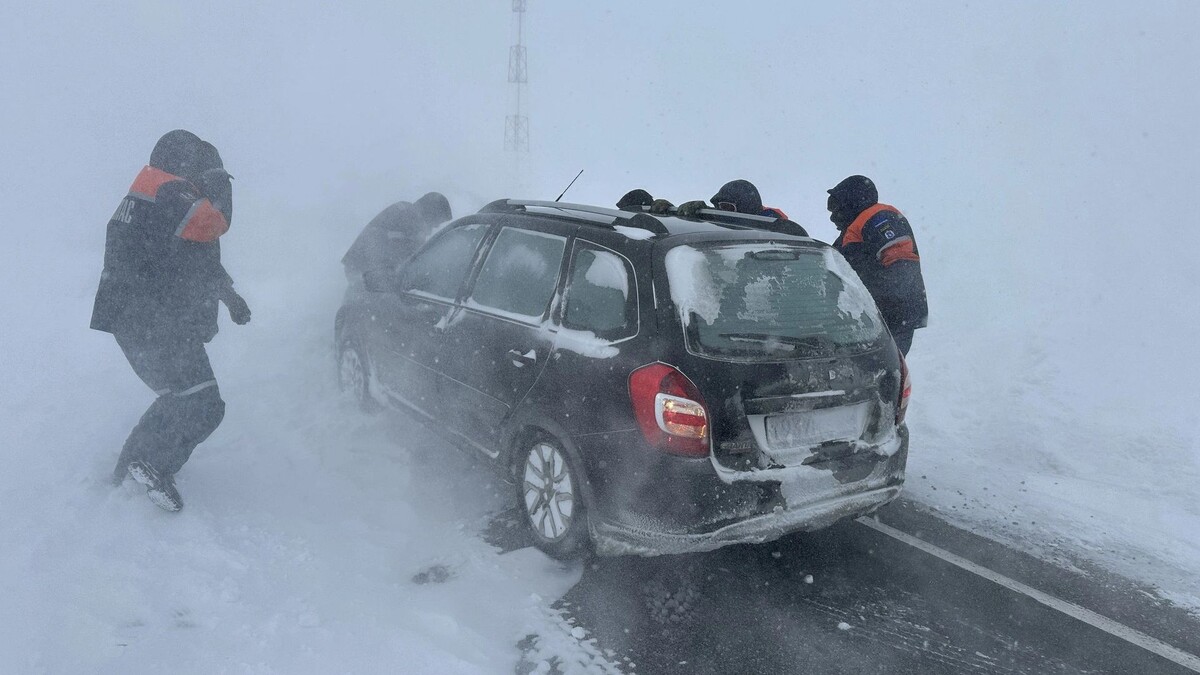    Фото: Вера Дронзикова/«Ямал-Медиа»