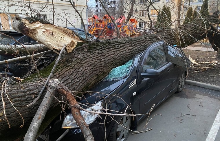    Мобильный репортер «АГН» Москва