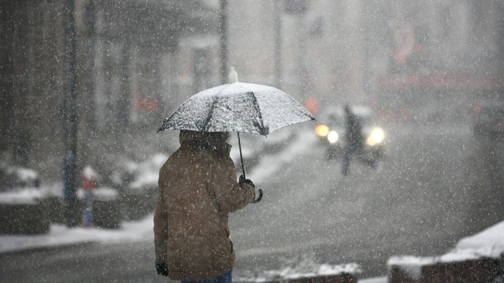    Фото: Nebojsa Markovic/Shutterstock/Fotodom