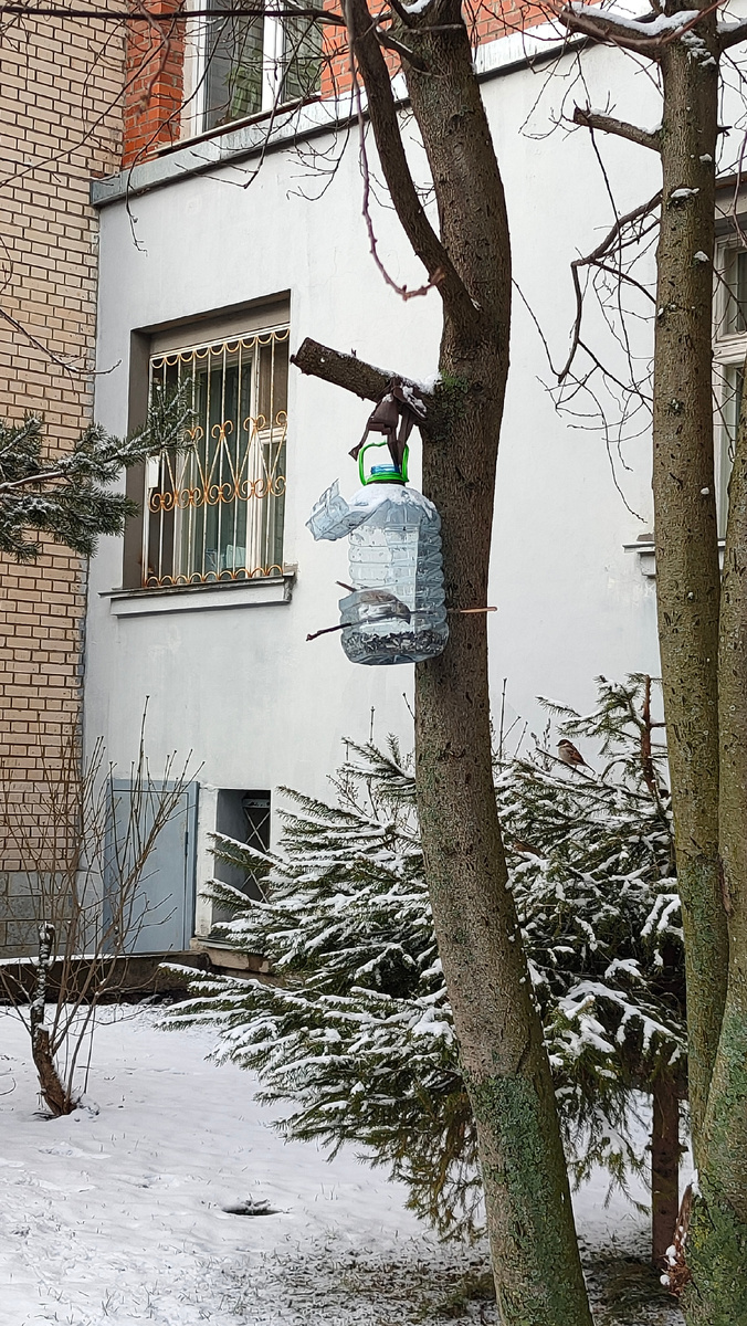 Фото автора 