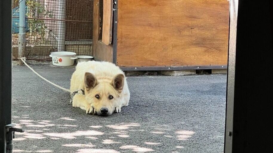     Источник: СКФУ