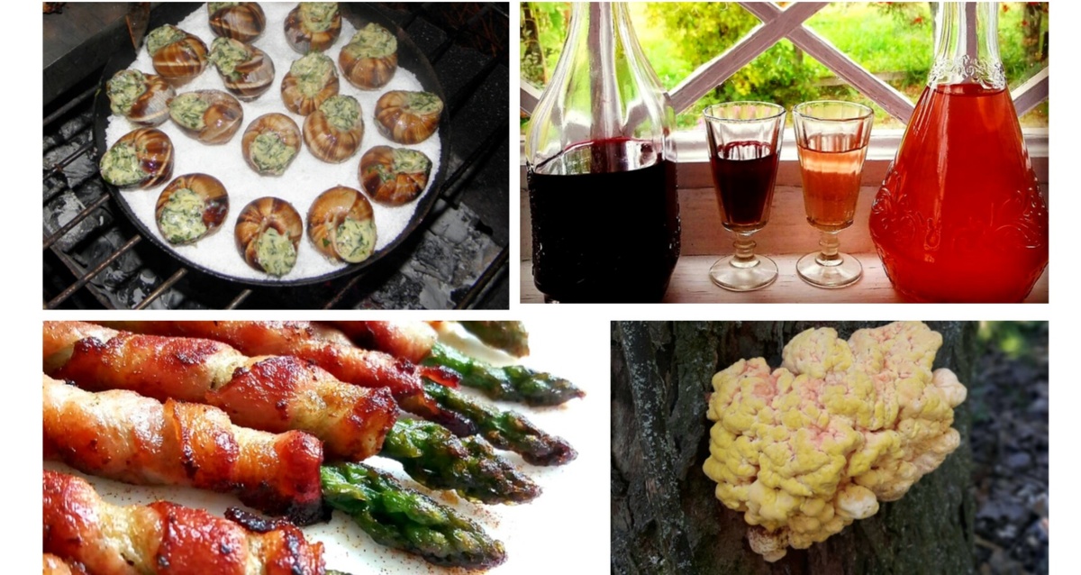 Фотоколлаж автора.