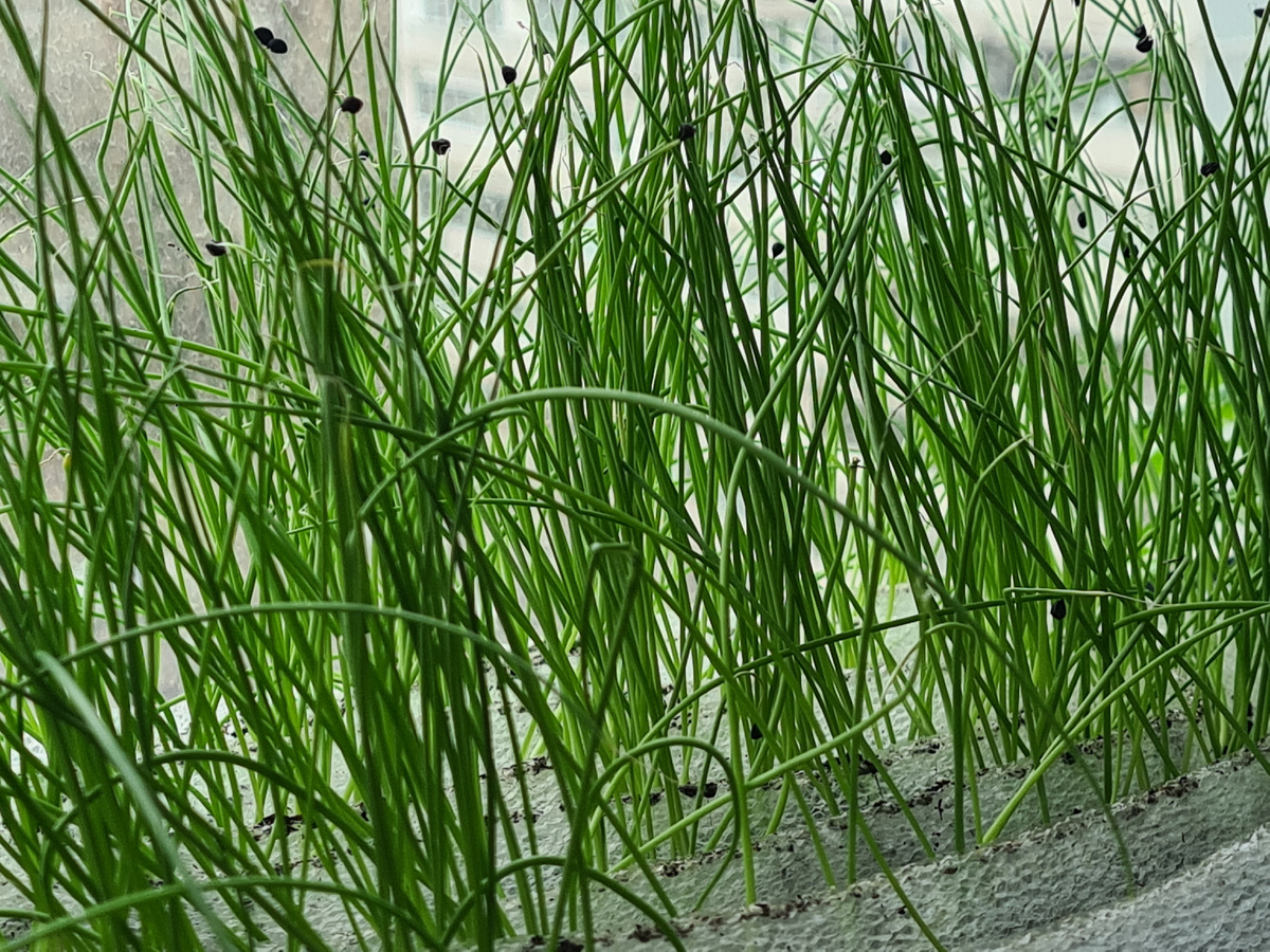 фото из личного архива.