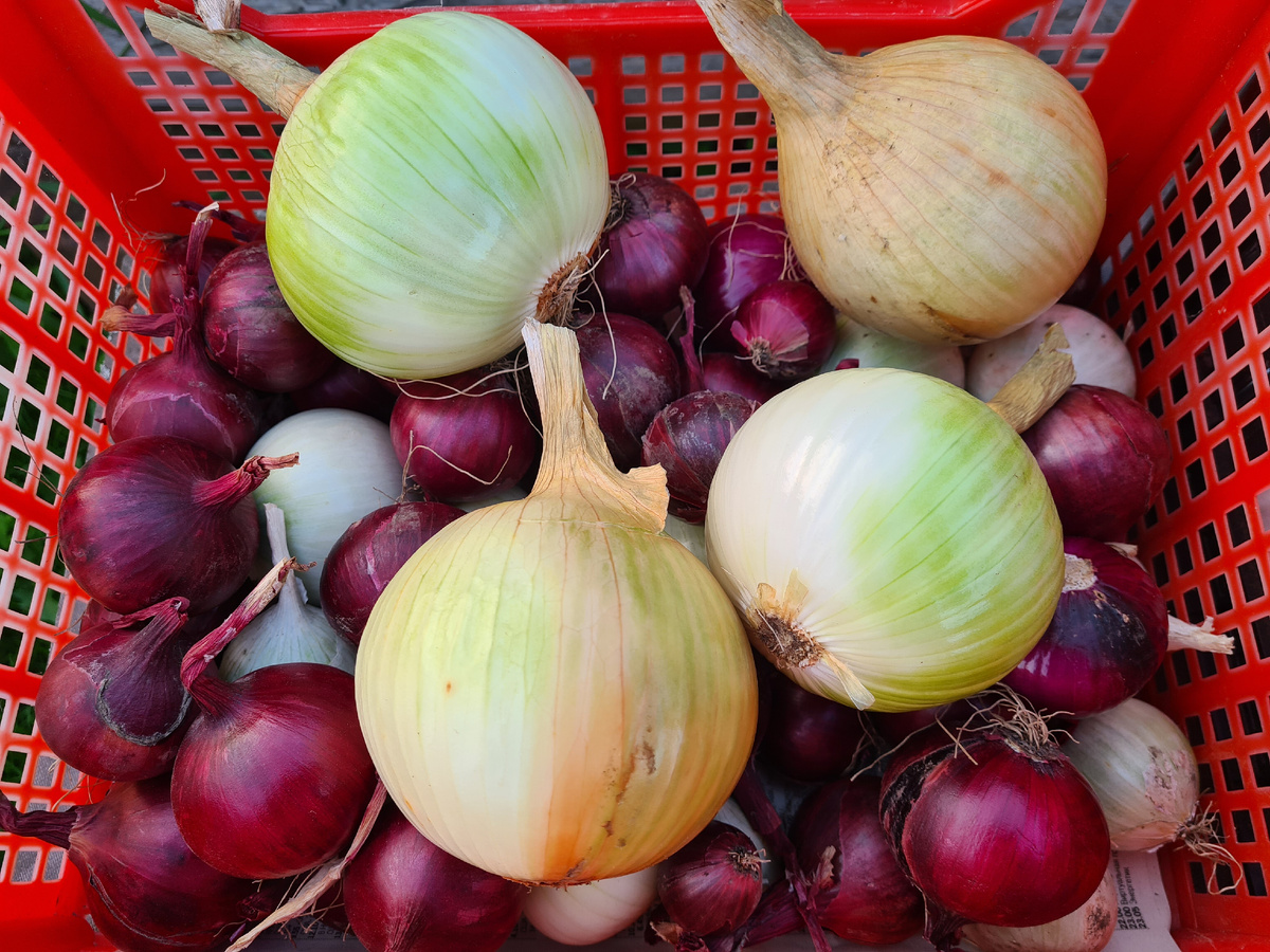 фото из личного архива. 