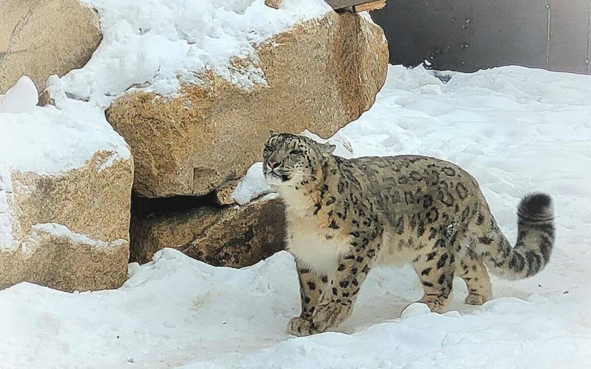 Фото: t.me/galimovatatarstan