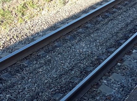 Фотография из личного архива автора