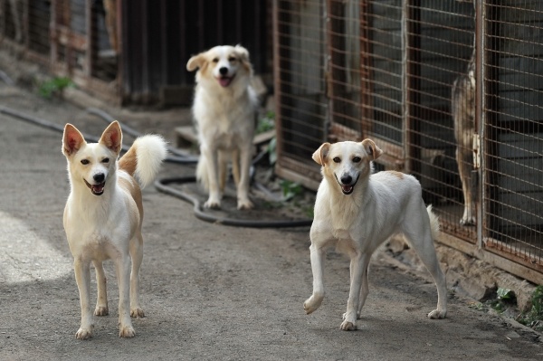 Фото: РИА Новости/Алексей Сухоруков
