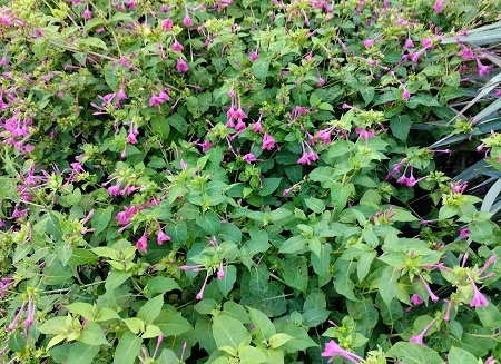 Фотография из личного архива автора