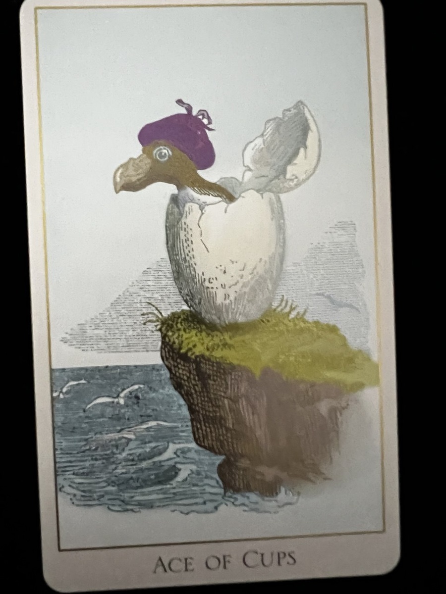 Туз Кубков/Чаш в Таро "Фантастический зверинец"