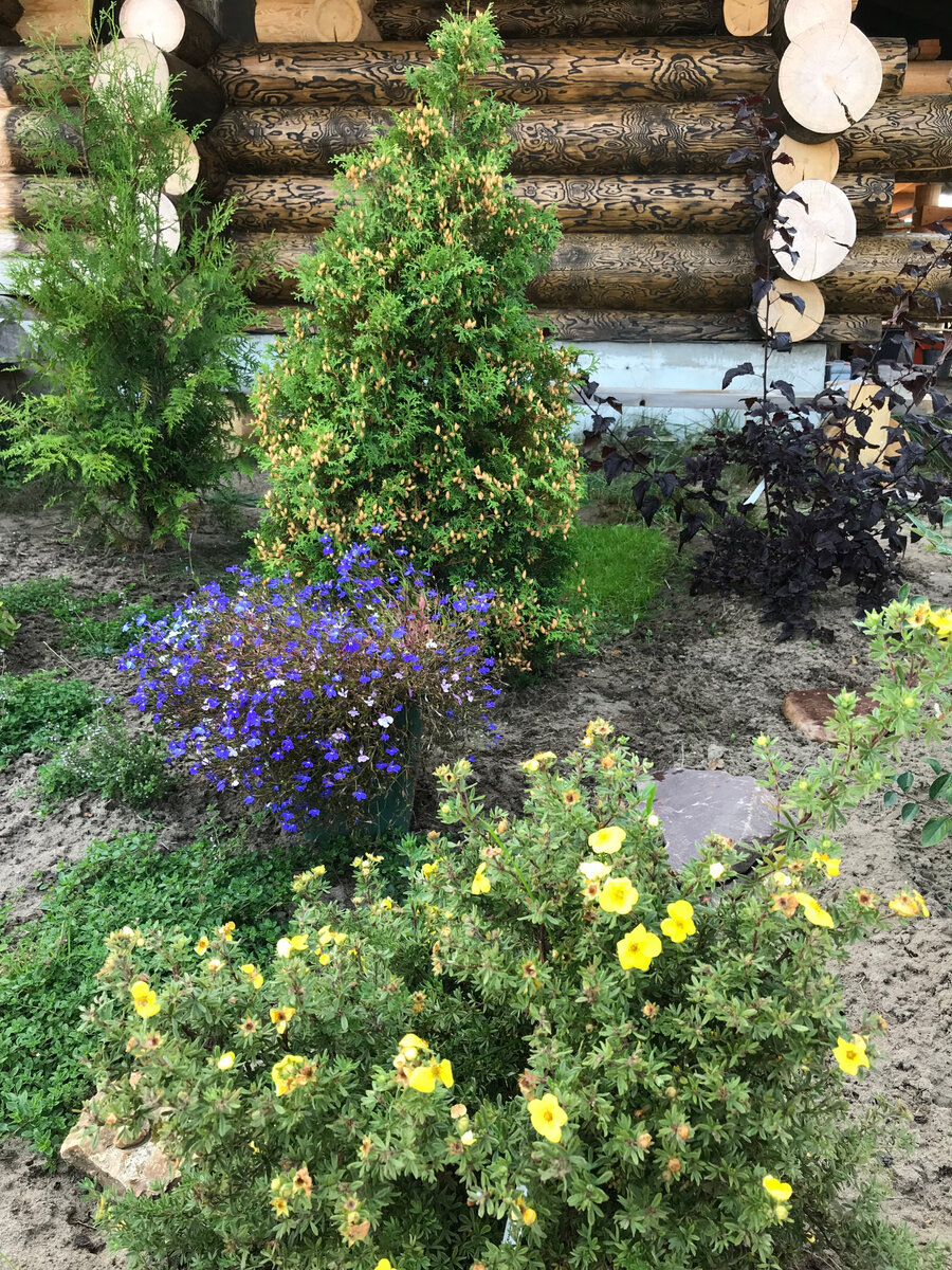 сентябрь 2019 года, Холмструп сложно не узнать, пояснения ниже...