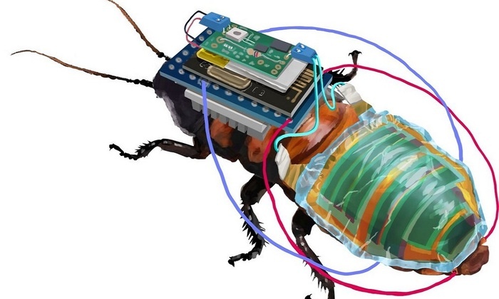    Японцы создали тараканов-киборгов