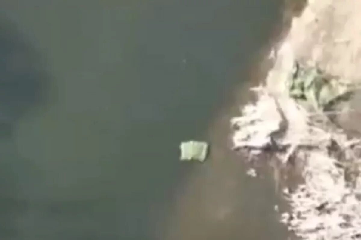    Появились кадры с «плотом-камикадзе», подорвавшим позицию ВСУ под Харьковом