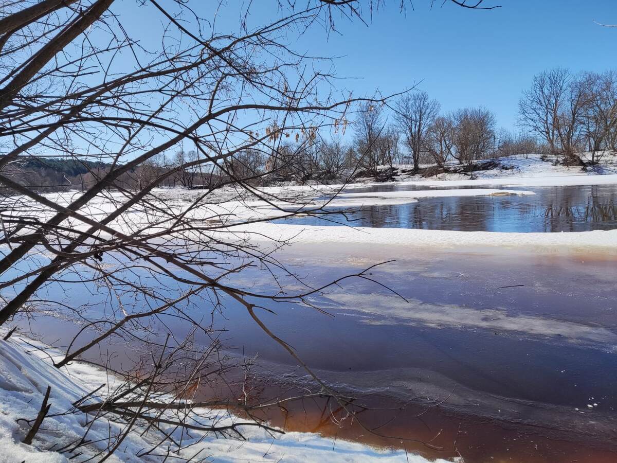 Фото МК в Рязани