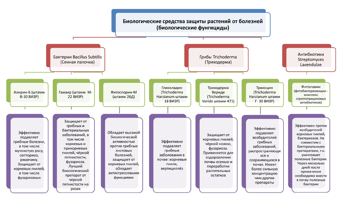 Классификация биологических средств защиты растений по действующему веществу
