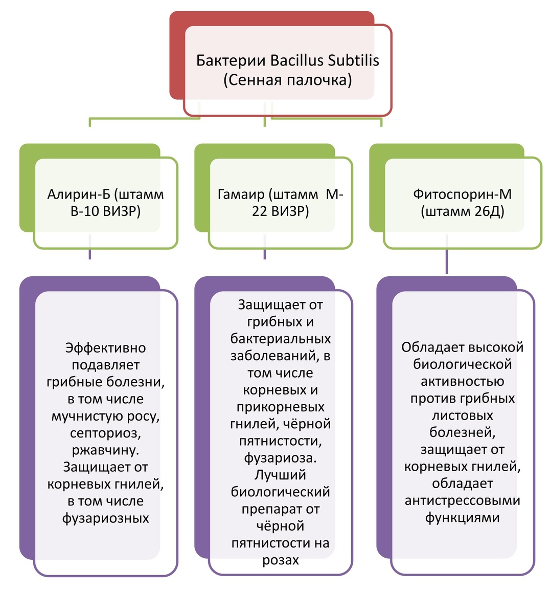 Бактериальные биопрепараты