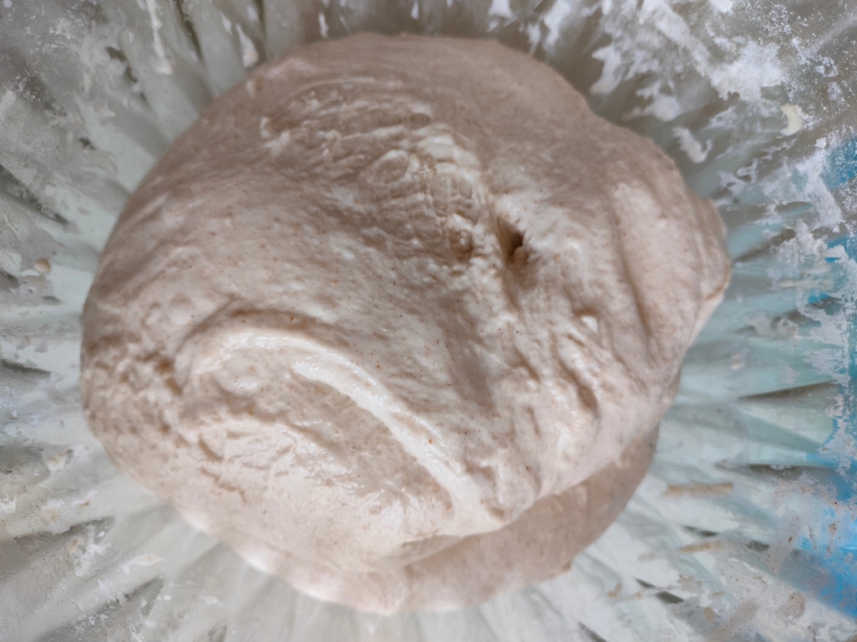 Фото автора. Выброженное тесто