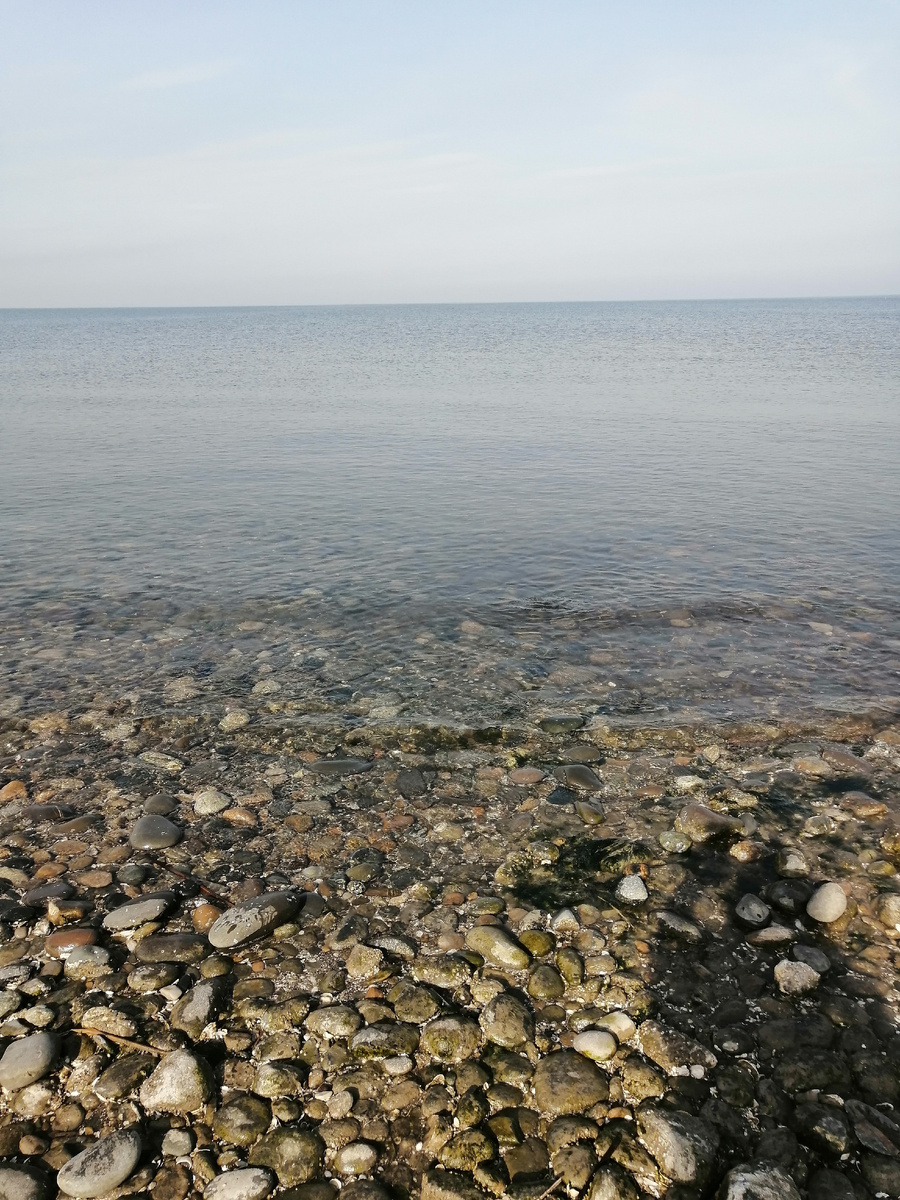 Для заставки.