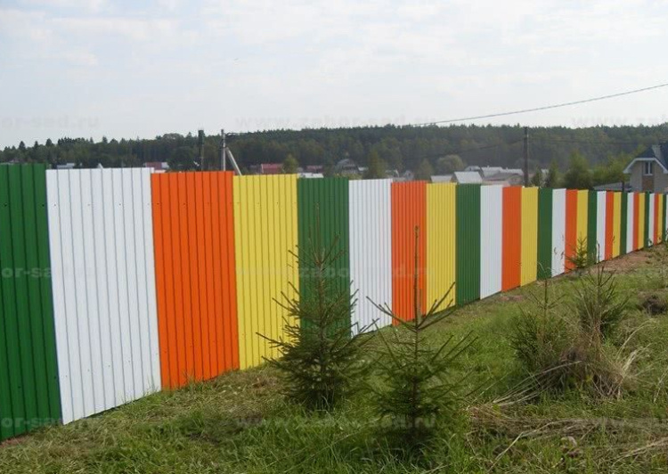 Фото из интернета. 